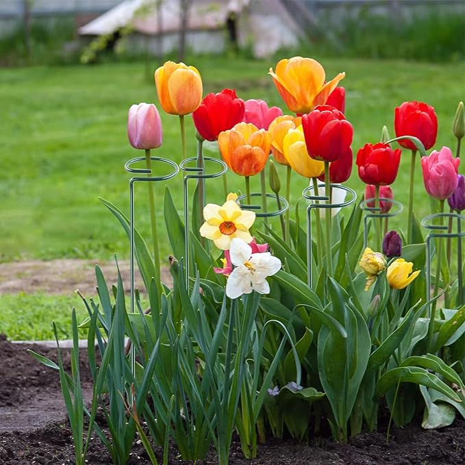 12 Pack 18 Inch Plant Support Stakes, Metal Single stemmed Flower Support Hoops,Garden Plant Stakes Plant Prop for Amaryllis Orchid Lily Rose Peony Tomatoes Gladiolus