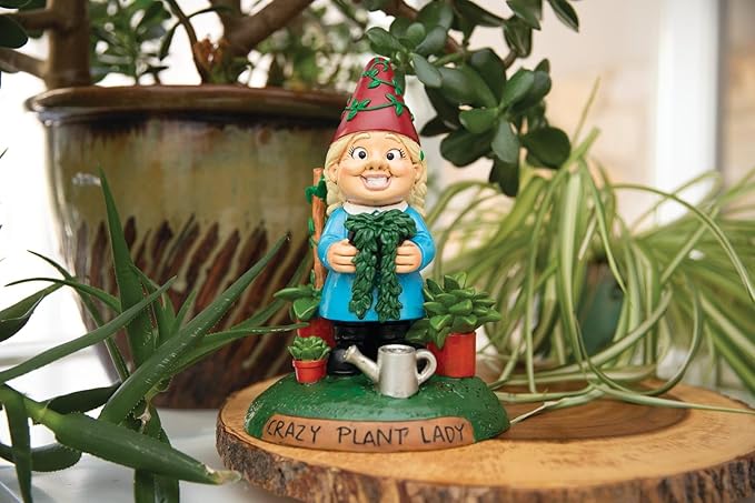 BigMouth Inc Crazy Plant Lady Garden Gnome Statue, Funny Outdoor Lawn & Yard Figurine, Housewarming Gag Gift Sculpture Decorations