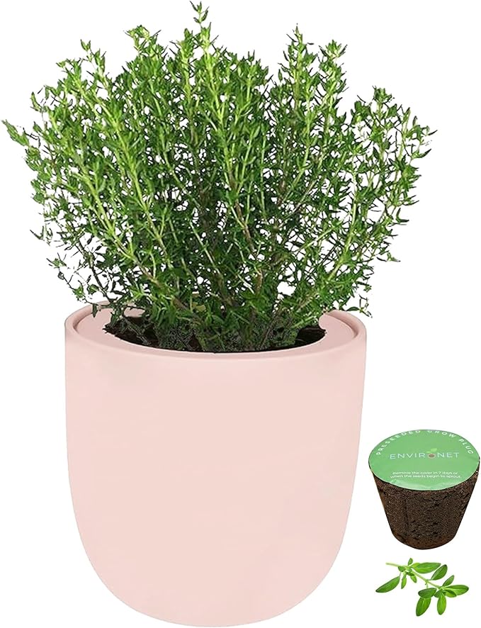 Hydroponic Herb Growing Pink Ceramic Kit, Self-Watering Kitchen Garden Starter Kit with Organic Seeds (Thyme)