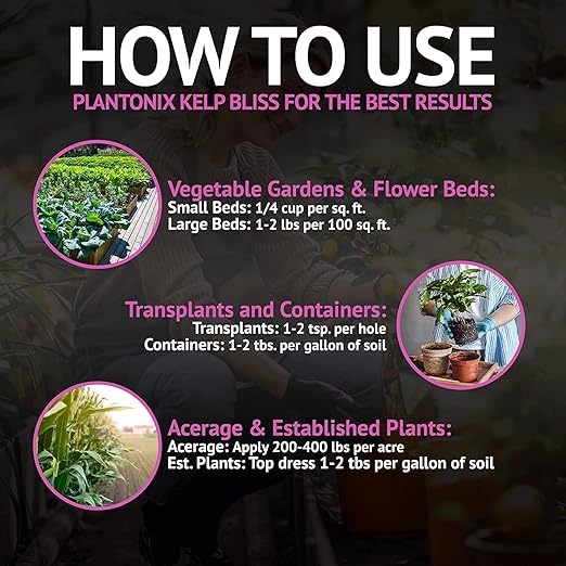 Kelp Bliss Fertilizer (1lb) - Kelp Meal Organic Fertilizer - Kelp Fertilizer for Plants - Plant Fertilizer & Garden Fertilizer - Organic Kelp Meal for Potting Soil, Garden Soil, Vegetables, & Lawns