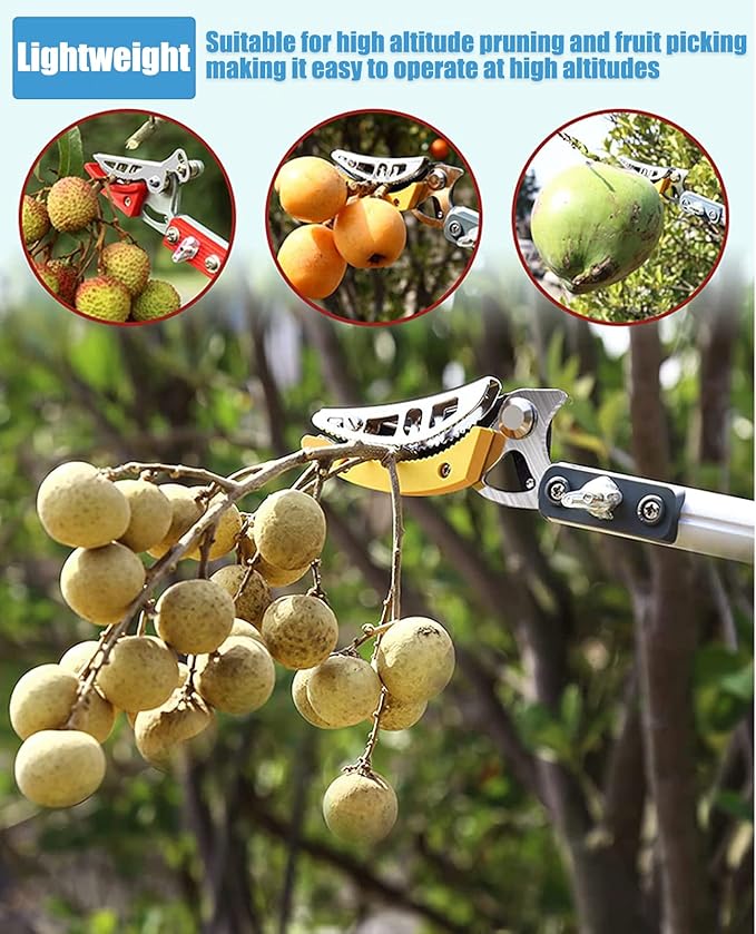 xixi-home 4.6-9.8 Ft Cut and Hold Pruners Long Reach Pole Saw Pruning Shears and Hold Bypass Pruner Extendable Tree Trimmer with Dedicated Serrations Telescoping Fruit Picker