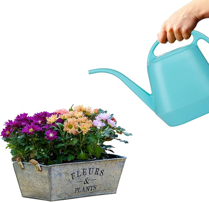 Fasmov Plastic Watering Can, Bright Blue, 1-Gallon