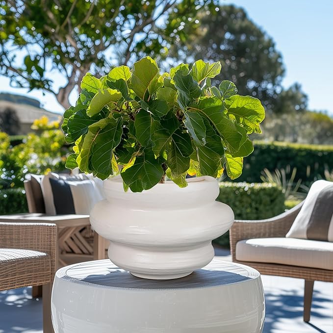 Ceramic Plant Pots Bonsai 11 Inch - Flower Pots for Indoor Plants, Large Plant Pots with Drainage Hole, Decorative Planter Outdoor Flower Pot for Office, Gift for Men Women, White
