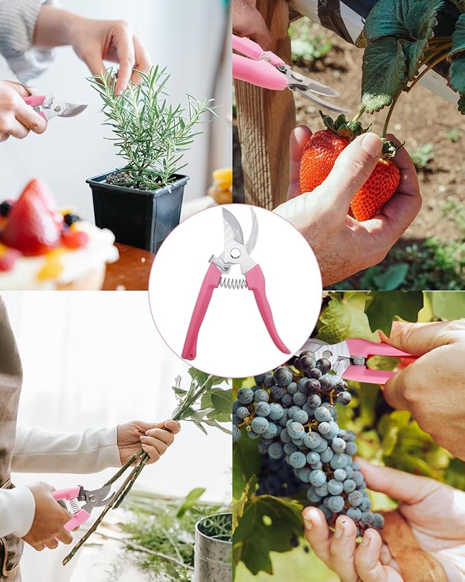 Pruning Shears for Gardening, 2 Pack Garden Scissors for Cutting Fresh Flowers, Floral Clippers for Plants, Fruits (Pink)
