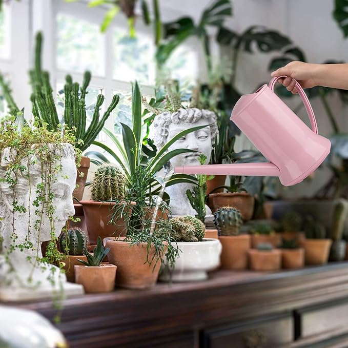XXXFLOWER 1/2 Gallon Small Indoor Plant Watering Can, 2L Long Spout Removable Nozzle Flower Watering Pot for Office House Indoor Garden(Pink,67 oz)