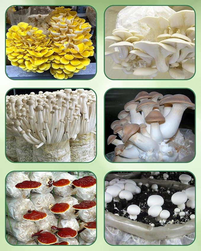 80 Pack Mushroom Grow Bags with Microporous Filter Patchs, 8"x5"x20" Large Extra Thick 3 Mil Mushroom Cultivation Spawn Bag Bulk, Durable Autoclavable Bags for Substrates Strong Tear Resistant