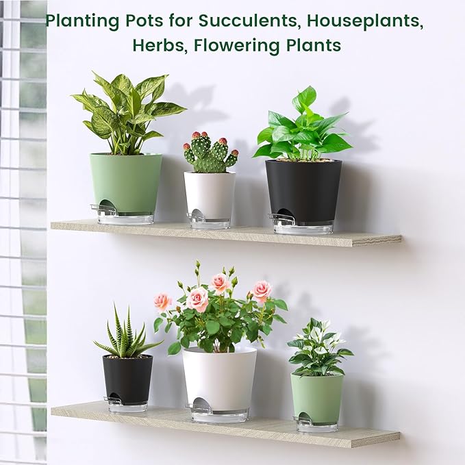 6 inch Self Watering Pots for Indoor Outdoor Plants, 6 Pack Flower Plant Pots with Drainage Holes and Clear Reservoirs, Visible Water Level, Plastic Planters with Wicking Rope, White