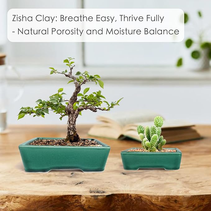 Set of 2 Zisha White Clay Bonsai Pot Glazed Shallow Succulent Planter Green