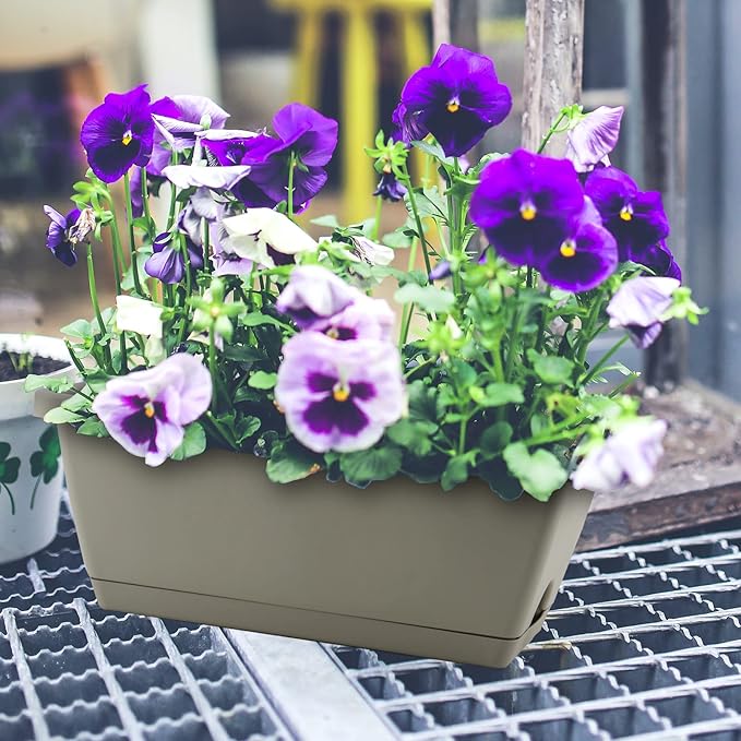 LEXININ 6 Pack 14 Inch Plastic Rectangular Window Planter Box, Window Vegetable Planter Box with Trays, Rectangular Flower Pots for Windowsill, Garden, Balcony, Patio, Grey