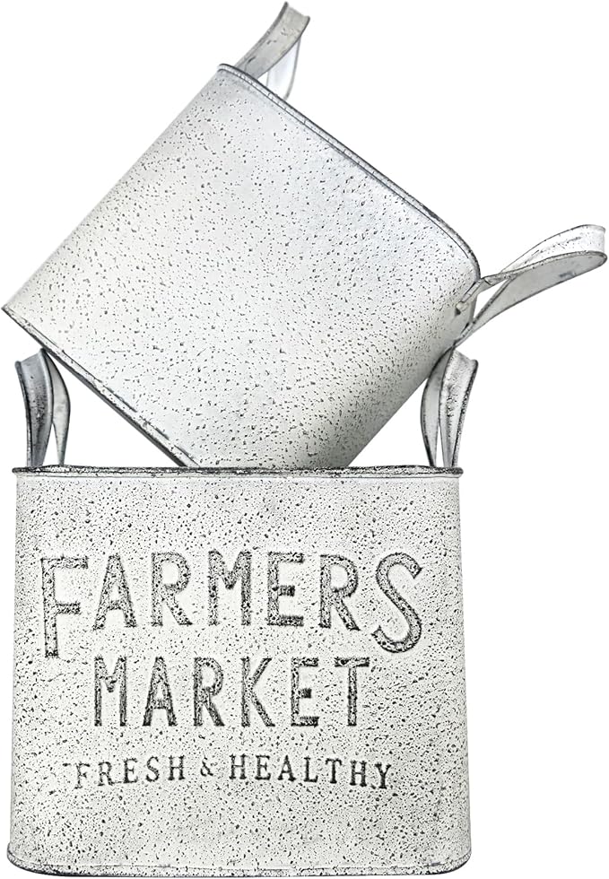 Vintage Metal Flower Planter Buckets with Handle Set of 2 Rustic Metal Flower Pots Farmhouse Plant Containers for Herb Succulent, Indoor Outdoor Garden Home Yard Bathroom Kitchen Decor (White)