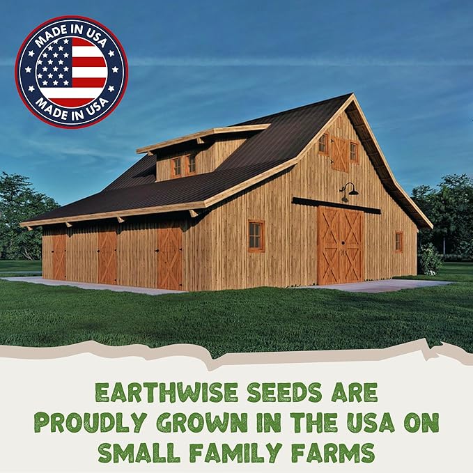 Earthwise Low Grow Alternative Lawn Mix - No Mow - 5lb - Covers 2000sq. ft. (Bare) / 5000sq. ft. (overseed)