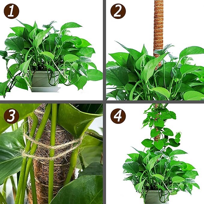 Soupiar 2 Pack 25" Moss Pole, Bendable Moss Pole for Plants Monstera, Moss Poles for Climbing Plants Indoor, Handmade Coco Coir Plant Pole Sticks Support Stakes for Potted Plants