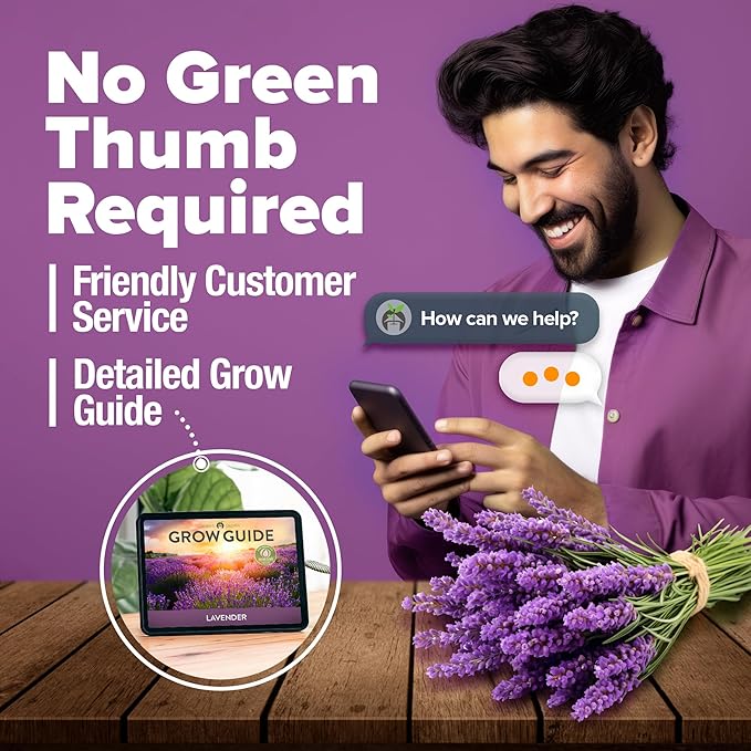 HOME GROWN English Lavender Seeds 1,500+ Non GMO Wildflower Seed for Planting Indoor/Outdoor, High Germination, Plant Flower Seeds (Lavandula antustifolia)