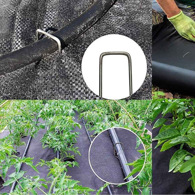 50 Pack Landscape Staples 12 inch,Heavy Duty Garden Stakes Pins Galvanized Landscape Fabric Staples Sod Ground Staple for Anchoring Weed Barrier Fabric