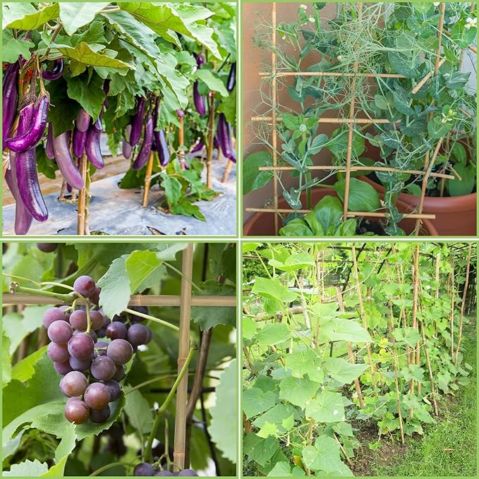 Plant Stakes,3FT Longer Sturdy Natural Bamboo Garden Stakes,GAGINANG 25Pcs Bamboo Sticks Trellis Support for Tomato, Vegetables Beans Trees Climbing Plants