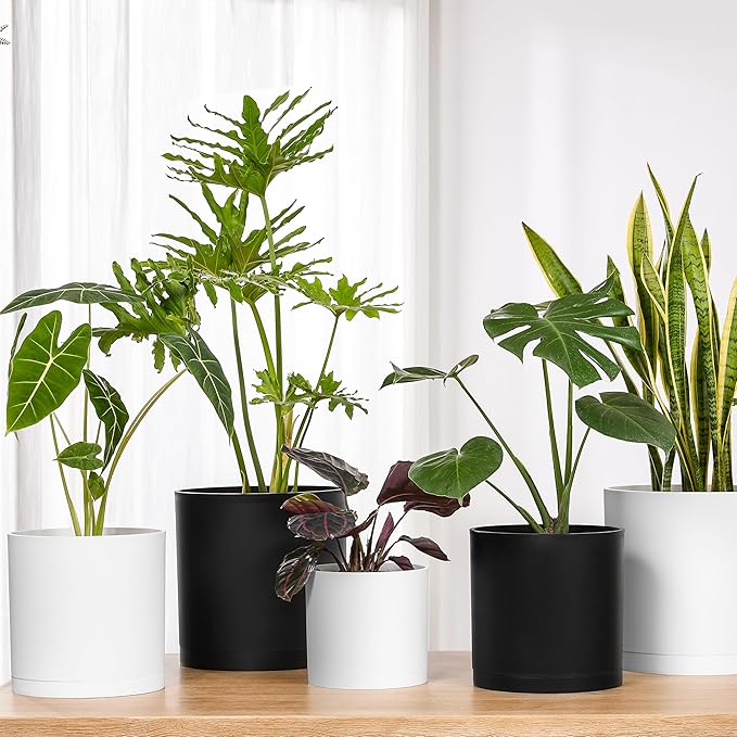 FaithLand 8-Inch Modern Cylinder Planter, Thick-Walled Plastic Plant Pot with Drainage Holes and Detachable Saucer, Matte Black, Ideal for Indoor & Outdoor Plants Flowers