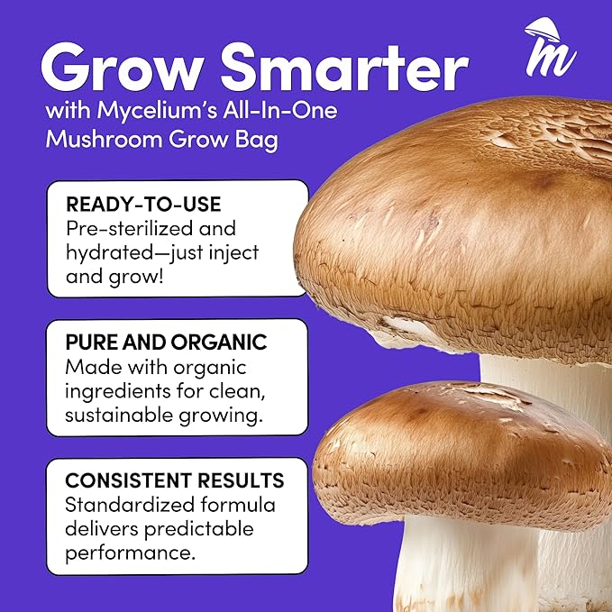 Mycelium 6LB Mushroom Grow Kit | All-in-One CVG Substrate & Rye Berries Grain Bag | Injection Port & Filter Patch | Grow Dung-Loving Mushrooms at Home – Just Add Liquid Culture