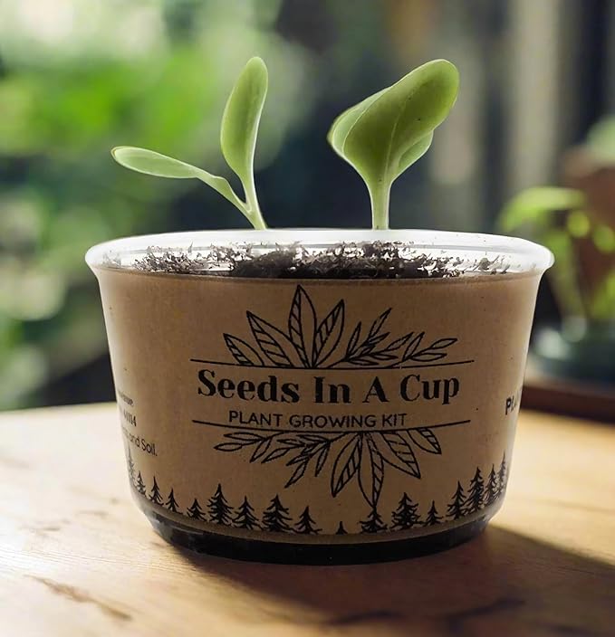 Apricot Tree | Seed Starter Grow Kit | Seeds In A Cup®