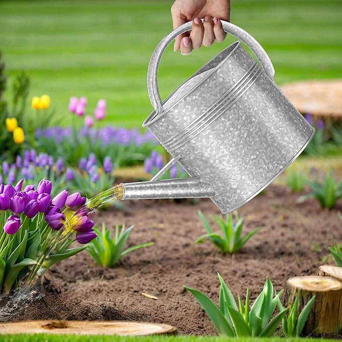 2.5 Gallon Ellipse Decorative Countryside Style Water Can with Removable Spout, Galvanized Watering Can for Outdoor Indoor Plants, Metal Watering Can for Indoor Plants and Garden Flower