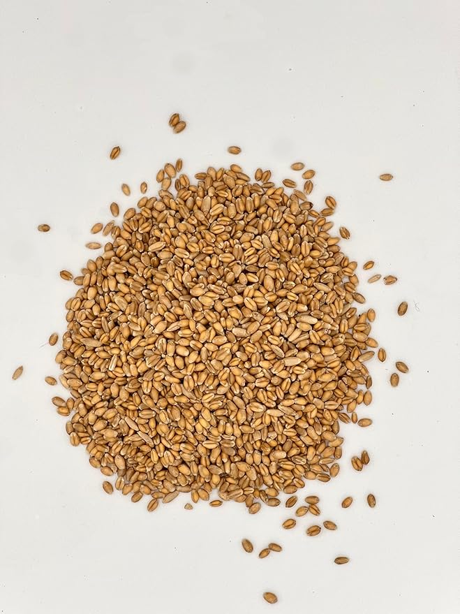 Thunder Acres Premium Soft Red Winter Wheat Seed (10, Pounds)