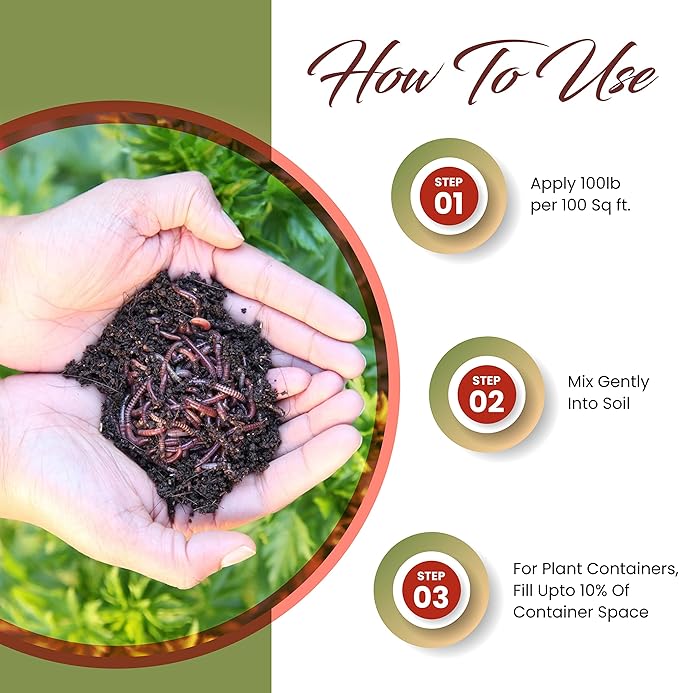 Worm Bliss (1 Qt) - Organic Worm Castings for Plants & Gardening - OMRI-Listed Earthworm Castings for Plants, Vegetables, Flowers, & Potting Soil - Organic Garden Fertilizer Rich in Nutrients