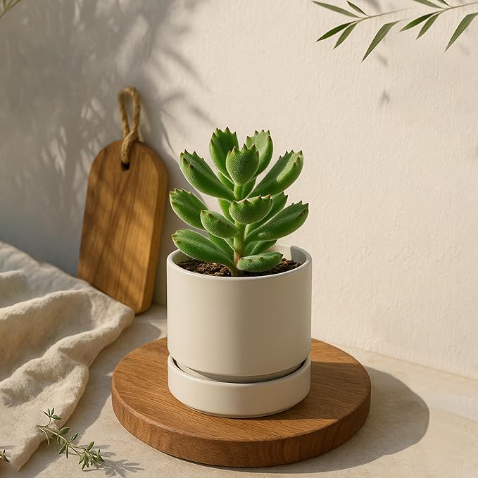 Phoenix Vine 4 Inch Planter Pot with Drainage Hole & Saucer, Deep Water Catch Tray, Straight Cylindrical Round Pot for Plants, Oatmeal, Pack of 3, 23-E-R-3