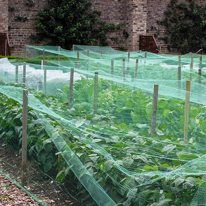 Bird Netting 50'x50' with 1" Square Mesh Bird Net Garden Netting for Chicken Coop, Aviary, Deer Fence, Chicken Netting Fruit Tree Netting