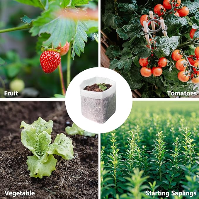 Belit Nursery Growing Bags, 200 Pcs Fabric Seedling Pots Non-Woven Pouch for Gardening Seed Plant Bag, Potato, Flower, Tomato Plant Starts (5.7" x 5.7 ")