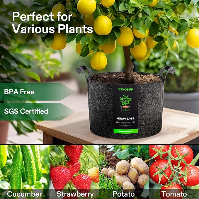 VIVOSUN 10-Pack 25 Gallon Grow Bags, Reinforced Planter Fabric Pots for Gardening Black