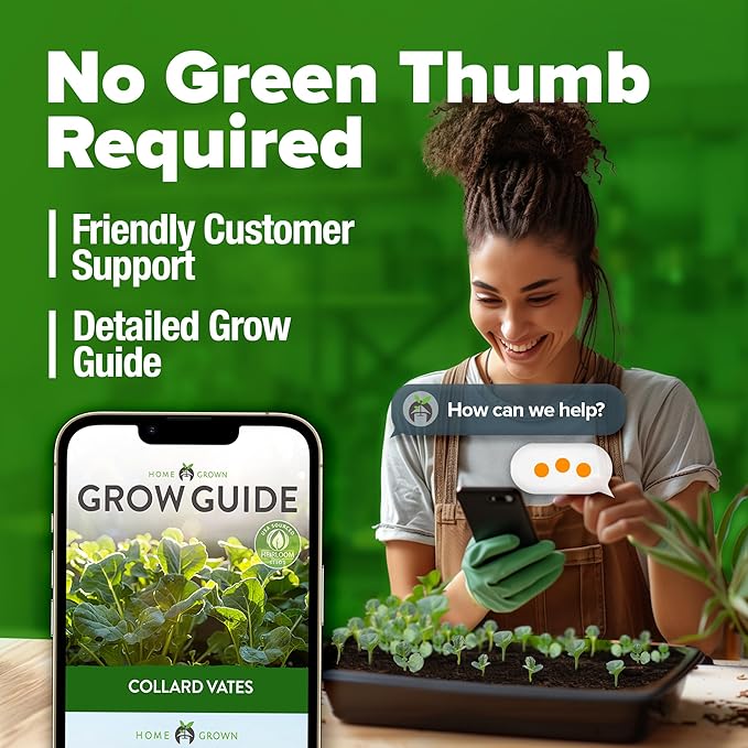 HOME GROWN Collard Green Seeds - 300 Seeds for Fall Planting - High Germination Heirloom Vegetable Seeds, Vates Collard Greens Seed Pack (Brassica oleracea)