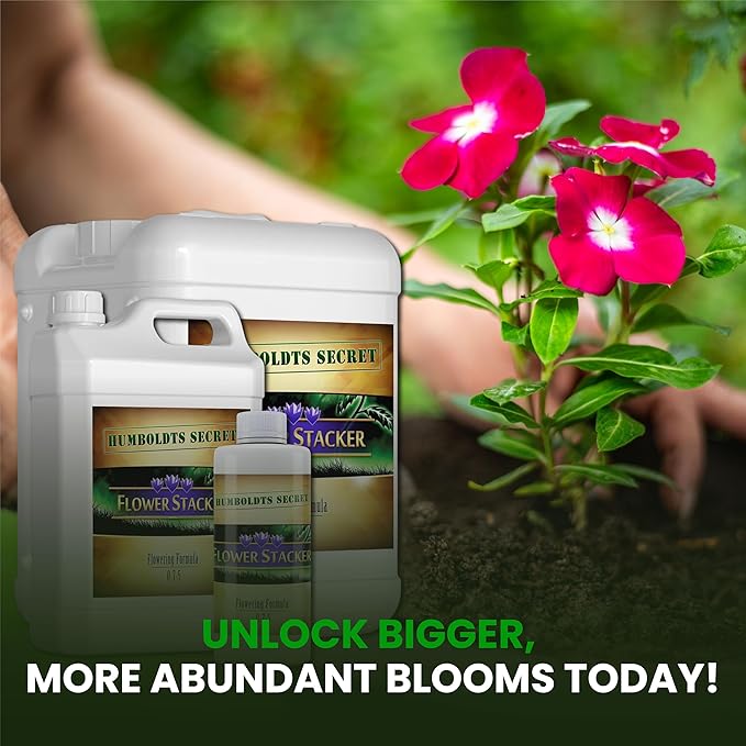 Humboldts Secret Flower Stacker | 0-7-5 Bloom Booster with Vitamin B1 | High Phosphorus Potassium Flowering Nutrients | Potting Soil Hydroponics Coco | Indoor & Outdoor Plants | 8 Ounce