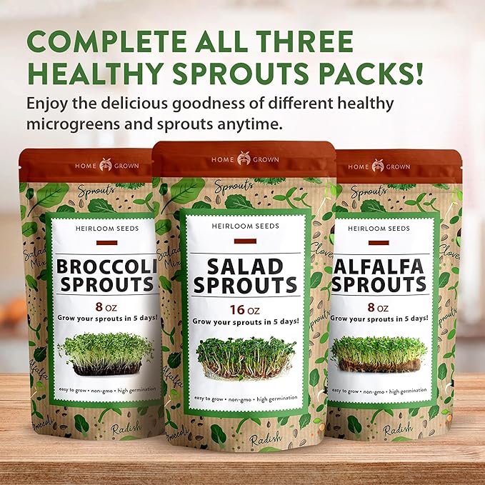 HOME GROWN Alfalfa Sprout Seeds 199,500+ 16oz Bulk Pack with Thousands of Seeds Alfalfa for Sprouting & Microgreens Indoor Outdoor Growing Resealable Bag High Germination