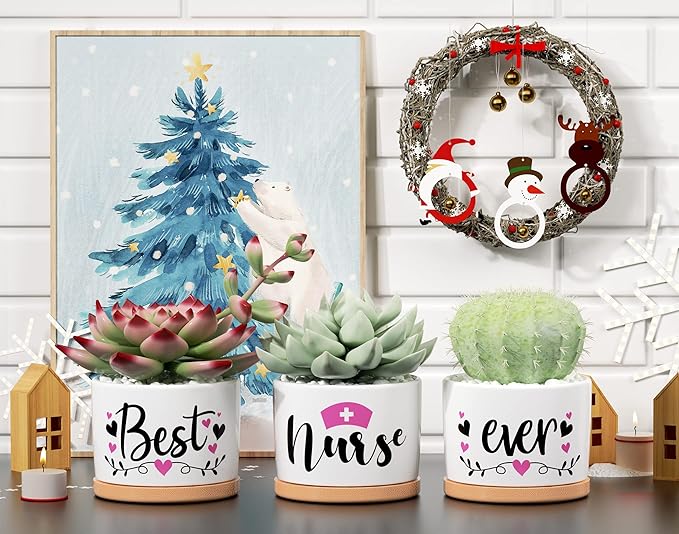 Best Nurse Gifts for Women Christmas, Funny Gifts for Nurse, Nurse Practitioner Gifts Best Nurse Ever Succulent Pots for Plants Indoor Ceramic Planter, Gift Boxed Nurses Day Gifts Nurse Birthday Gifts