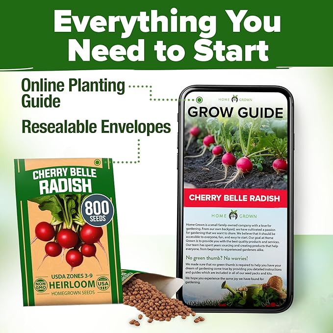 HOME GROWN Cherry Belle Radish Seeds 800+ Non GMO Heirloom Vegetable Seeds for Planting Outdoors Harvest in 30 Days Red Radishes, Spring and Fall Gardens (Raphanus Sativus)
