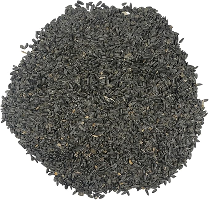 6 Pound Black Oil Sunflower Seeds for Birds – Premium Wildlife Food – Non - GMO -Grown in The USA - Black Oil Sunflower Seeds for Wild Animals and Backyard Feeders