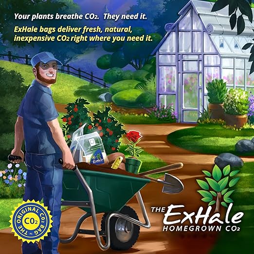 Exhale Homegrown CO2 Micro - CO2 Bag for Indoor Grow Rooms & Tents - CO2 for Grow Tents - Foliage Mushroom Bag - 1.5 lbs.