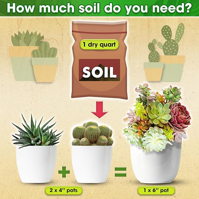 DUSPRO Succulents Soil Potting Mix β 7 in 1 Ingredients Well-Draining, Nutrient-Rich Cactus Potting Soil for Succulents and Cacti, Indoor & Outdoor Use, Ready to Use, Supports Healthy Root Growth, 2QT