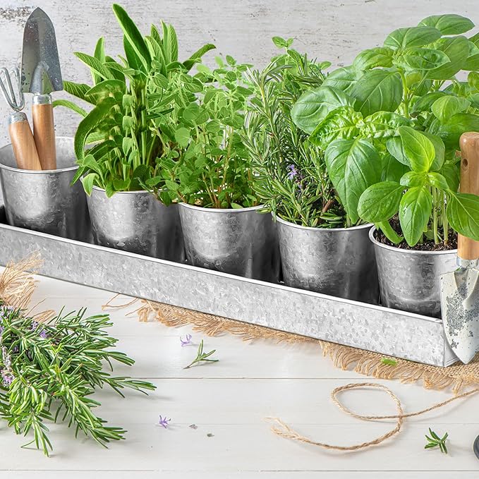 2 Sets Herb Garden Planter Indoor Kit with Trey 10 Pcs Metal Windowsill Plant Pots with Drainage Holes Indoor Herb Planter with Marker and Labels for Home Outdoor Plants(Silver)