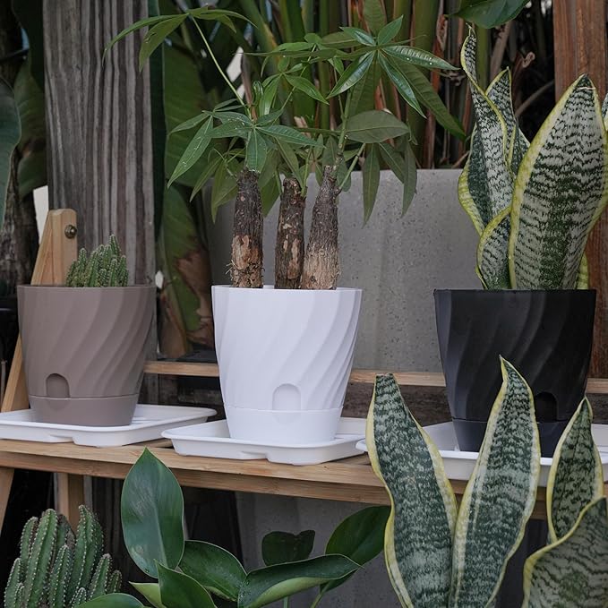 Plant Pots with Drainage, Self Watering Pots for Indoor Plants, Home Decor Flower Planters, 6 Pack Plastic Planters Succulent Pots, Black