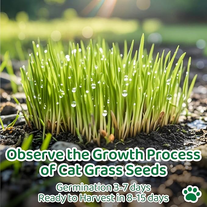 5Pack Cat Grass Seeds Kit - Cat Grass Seeds Growing Set for Indoor Cats, Non GMO Wheat Seed, Nutrient Soil & Planting Tools, Quick Germination, Perfect for Beginners