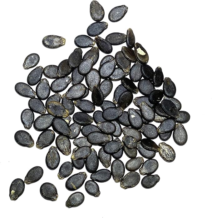 Seed Needs Watermelon Seeds for Planting Cal Sweet Watermelons - Non-GMO Heirloom & Untreated - Grow an Outdoor Home Grown Garden Filled with Sweet Fruits (1 Pack)