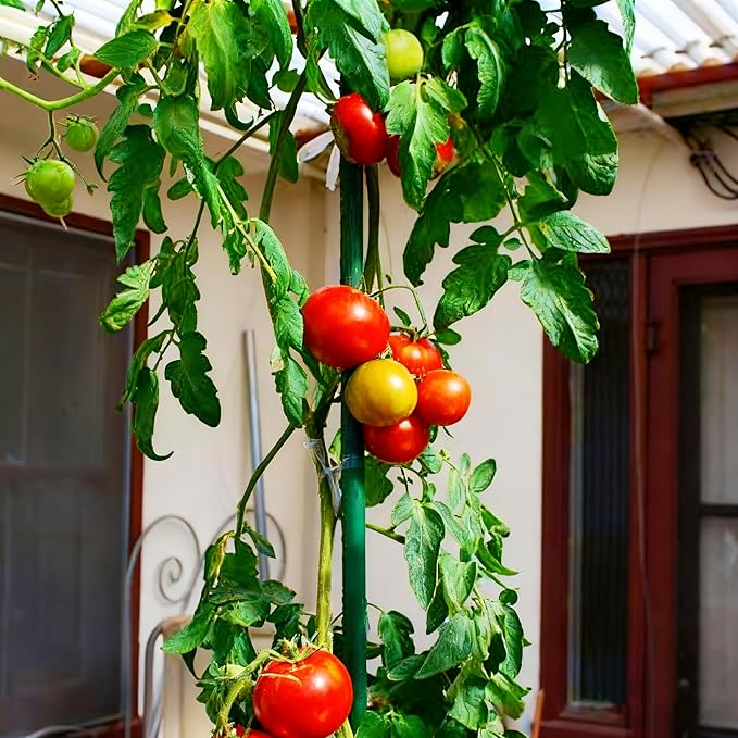 Xiny Tool Garden Stakes, 15 Pack 8 FT Steel Plant Garden Tomato Stakes with Plastic Coat for Climbing Plants (96 Inch)