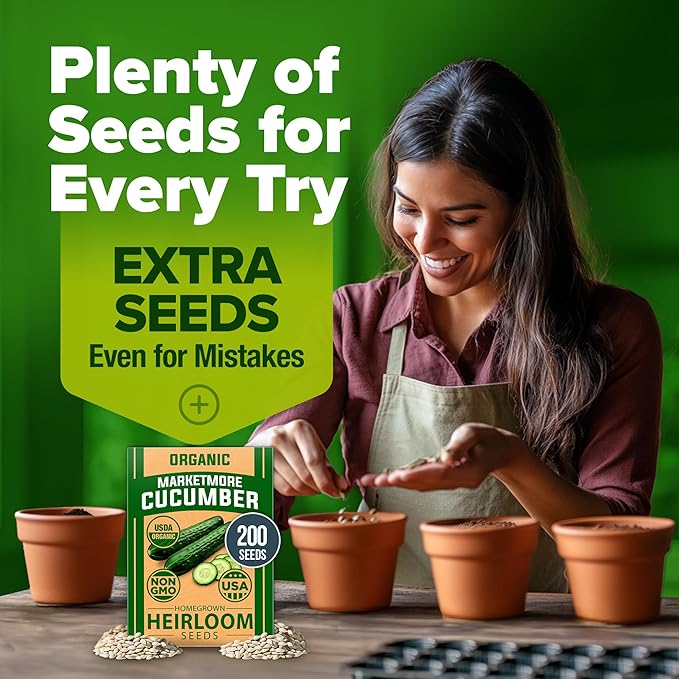 HOME GROWN Organic Cucumber Seeds - 200 Marketmore Heirloom Non GMO Vegetable Seeds for Planting in Trellises, Raised Beds, Containers (Cucumis sativus)