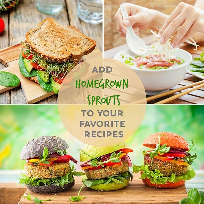 Certified Organic Alfalfa Sprouting Seed - 4 Oz - Handy Pantry Brand - High Sprout Germination- Edible Seeds, Gardening, Hydroponics, Growing Salad Sprouts, Planting, Food Storage & More