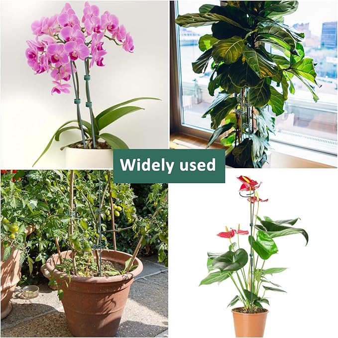 4 Set Metal Plant Sticks Support Tall 48 Inch Adjustable Plants Stem Support Rod Amaryllis Holder Stake Garden Flower Rings with 20PCS Clips 16.5' Plant Ties for Outdoor Indoor Plants