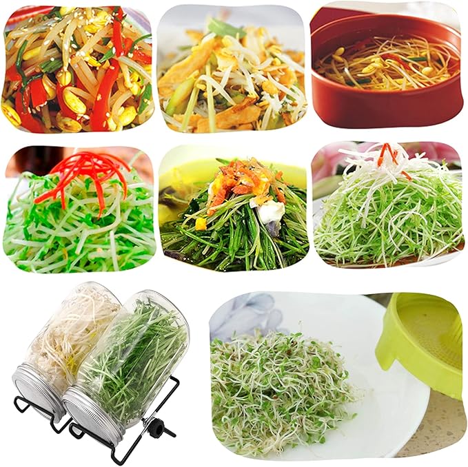 Lulonpon 2pcs Sprouts Growing Jar Kit, Wide Mouth Quart Mason Jars with Stainless Steel Screen Sprout Lids, 86mm,1000ml,Stand,Tray and Canning Brush,Seed Sprouter Set for Broccoli, Alfalfa, Mung Bean