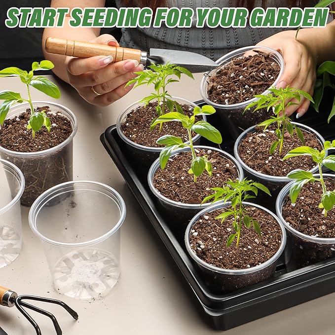 3.5" Clear Seeding Pots 20 Pack Round for Seeds Starter Pot, Seeds Germination Transparent Nursery Pots with Drainage Holes (Clear,3.5Inch,20PCS)