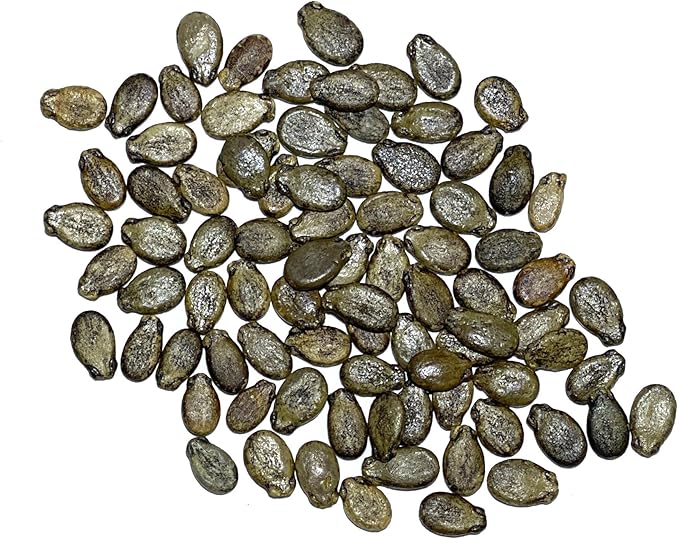 Seed Needs Watermelon Seeds for Planting Sugar Baby Watermelons - Non-GMO Heirloom & Untreated - Grow an Outdoor Home Grown Garden Filled with Sweet Fruits (1 Pack)