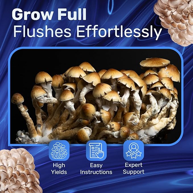 Surfin' Spores Mushroom Grow Kit | 4 lb Grow-in-Bag Kit/Monotub Refill | Includes: 1 lb Sterile Grain Bag with Injection Port & 3 lb Organic CVG Substrate | Spores Not Included (Single)