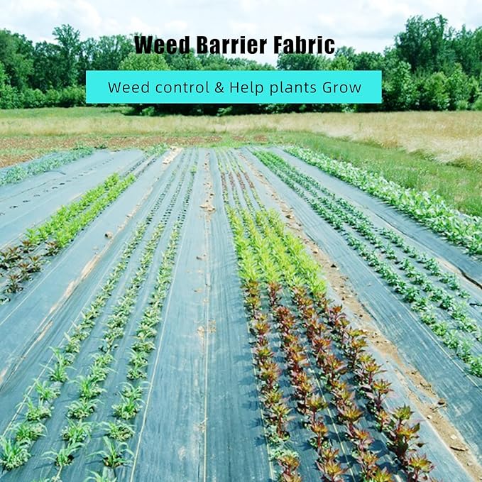 Broadfashion 4ft x 250ft Premium Weed Barrier Landscape Fabric, 5oz Heavy Duty, Weed Control Fabric, High Permeability Good for Flower Bed, Driveway Fabric Ground Cover